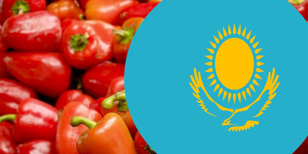 Russia: stop alle importazioni di frutta e verdura dal Kazakistan